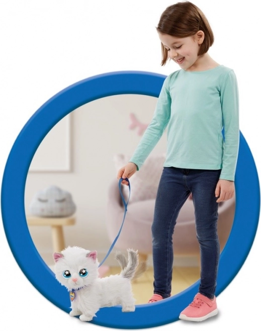 Leash walks just like with a real cat