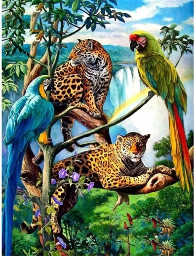 Norimpex diamantové malování papoušci a leopardi 30x40 cm