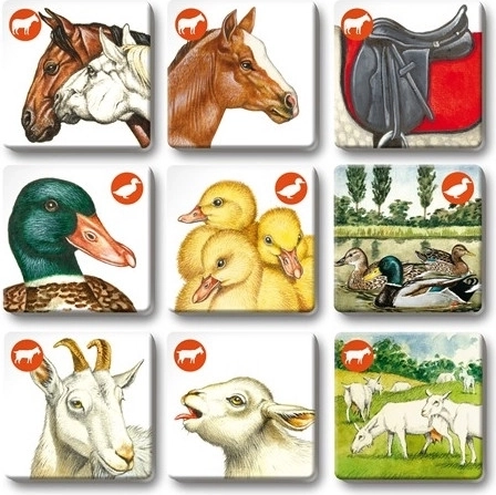 Three games in one box