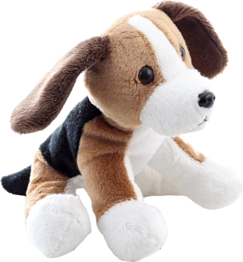 Stabilno sedenje zahvaljujoč kroglicam