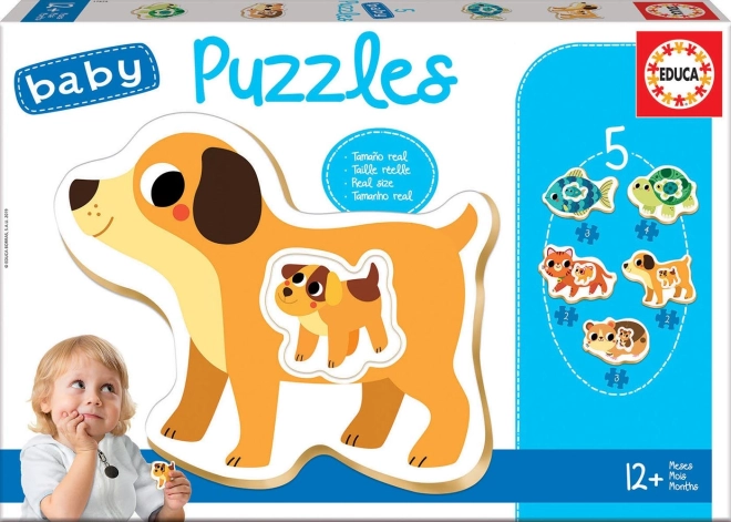 Educa Baby puzzle cuccioli domestici con piccoli 5v1