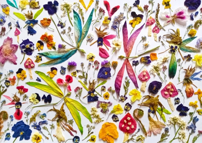 Puzzle Fairies and Dragonflies 1000 Pieces