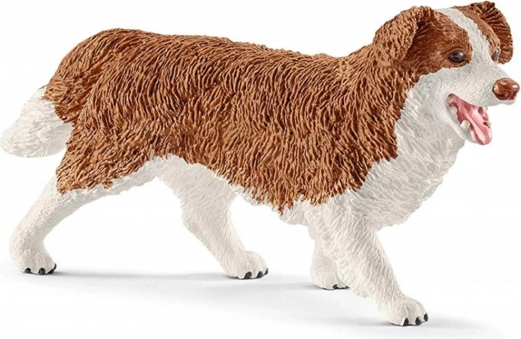 Péče o mazlíčky s fenkou Ruby