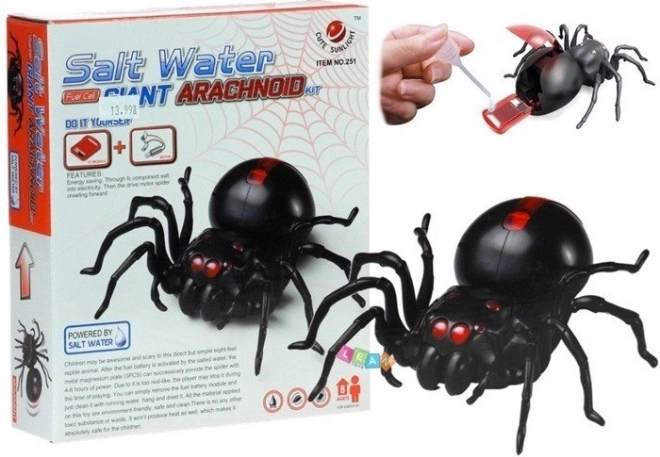 Creative Set Spider Powered by Salt Water DIY Black