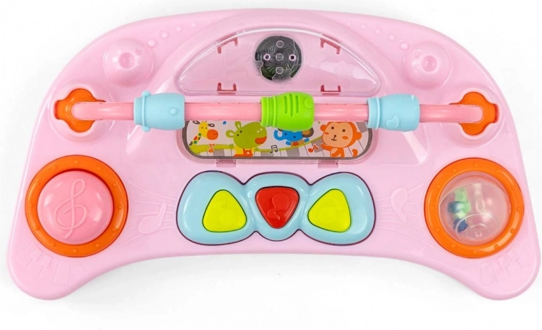 Odnímatelný multimediální panel