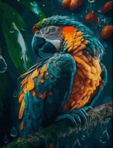 Diamond Painting Parrot 30x40 cm