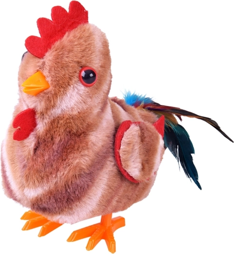 Walks and flaps its wings