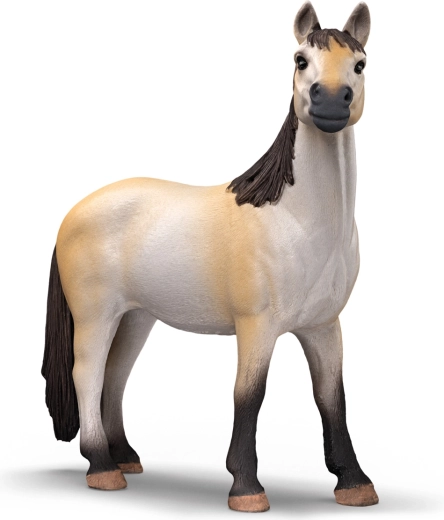 Belle jument mustang