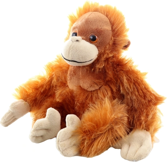 Prisrčni detajli in kakovostna izdelava