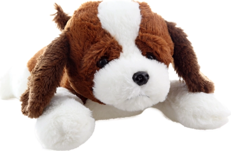 Ljubek realističen videz