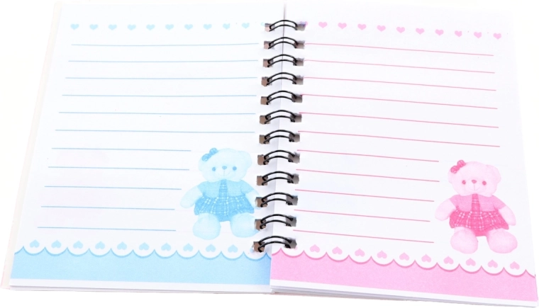 Ruled pages with illustrations