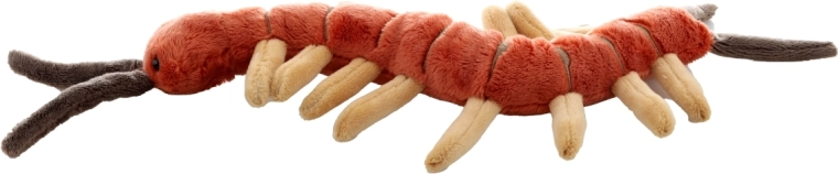 Ideális méret otthonra és útra