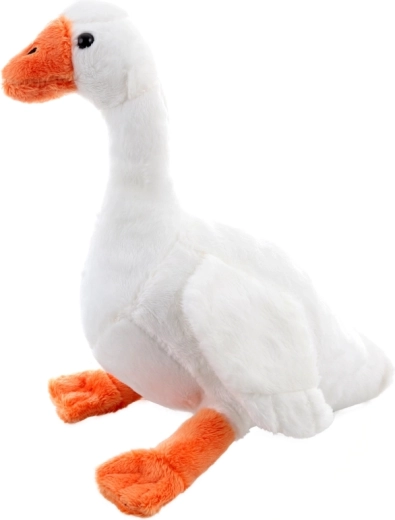 Lightweight and compact