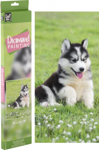 Diamantové malování Husky 40 × 50 cm