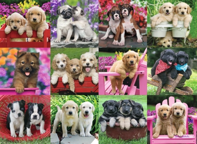 Ravensburger puzzle Puppies 500 pieces