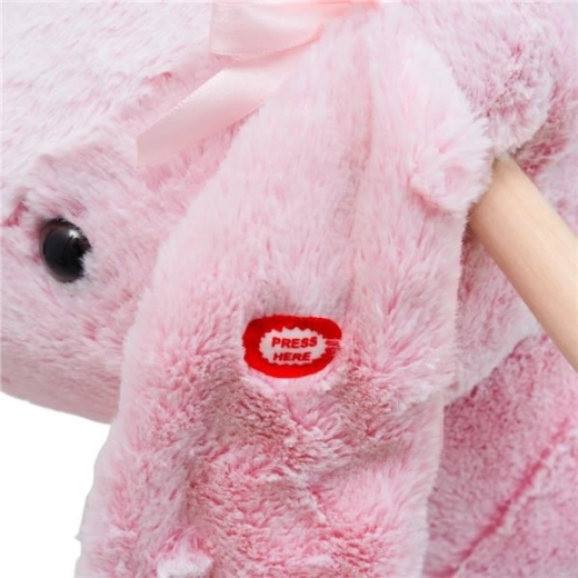 Music button for even more fun