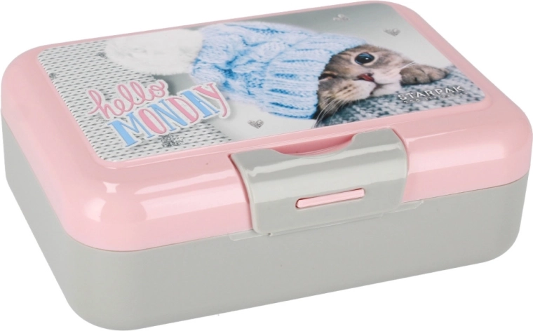 Bezpečný svačinový box