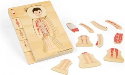 Fából készült réteges anatómiai puzzle – fiú BIGJIGS TOYS