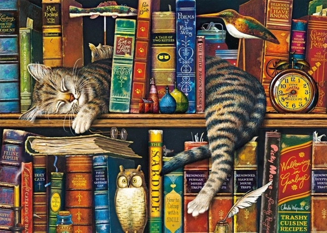 Schmidt Puzzle 1000 Pieces – Frederick the Literate