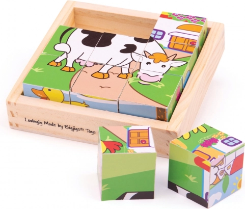 Afbeeldingshouten blokken Dieren 9 stuks