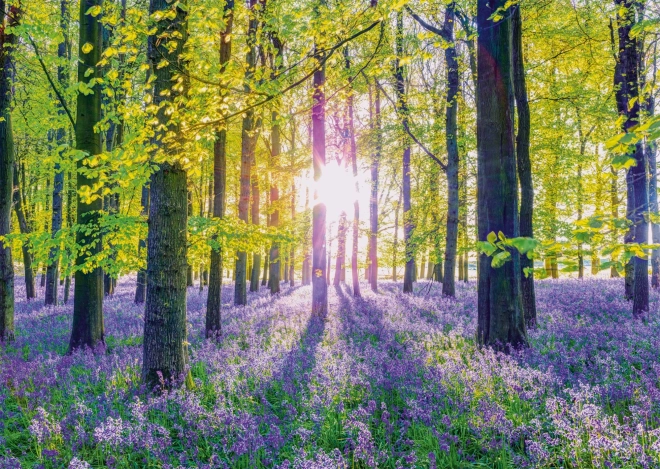 Puzzle Gentle Blue Bells in the Forest 1000 Pieces