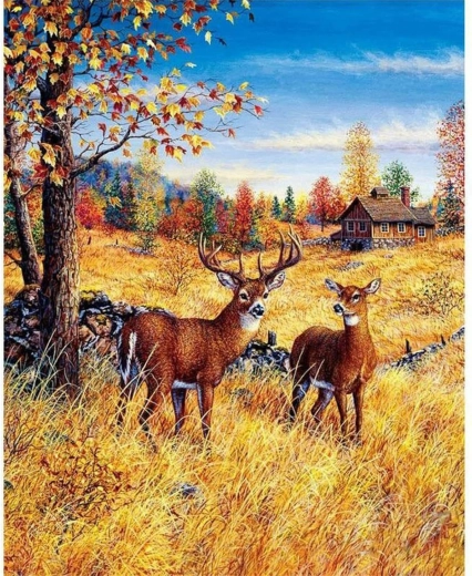 Diamond Painting Deer in the Field 30x40 cm