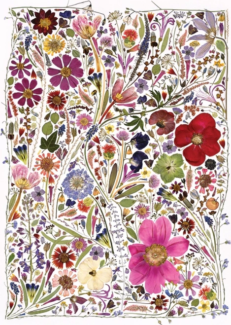 Puzzle Pressed Flowers Spring 1000 Pieces by Cobble Hill