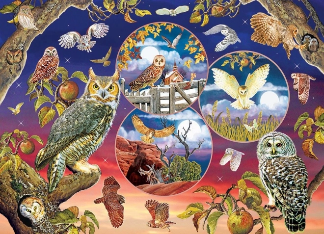 Puzzle Owl Magic 1000 pieces from Cobble Hill