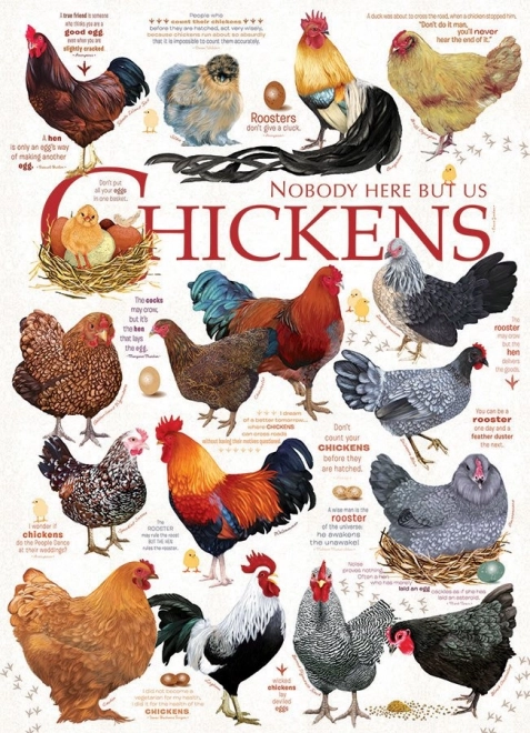 Cobble Hill puzzle Chicken Quotes 1000 pieces