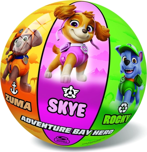 Glad en afwasbaar oppervlak