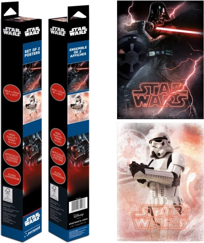 Ensemble de mini-affiches Star Wars (2 pièces)