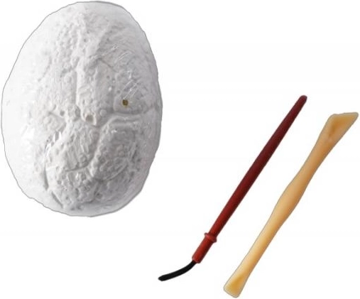 Strumenti sicuri per i piccoli esploratori