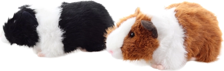 Compact size for travel and crib