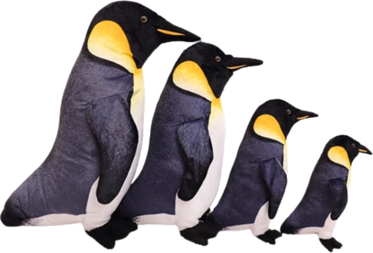 Ideální velikost 25 cm