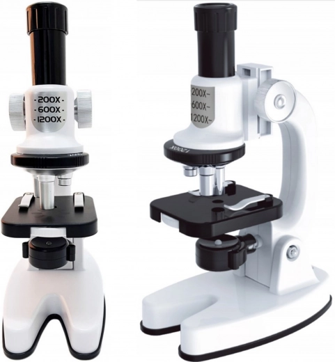 Up to 1200x magnification and LED lighting