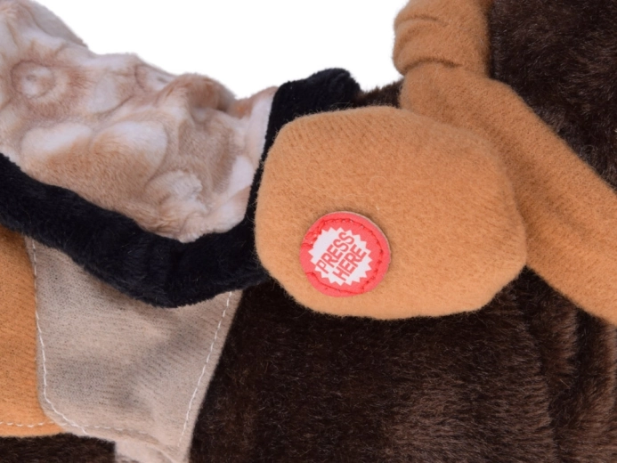 Walks, neighs, and dances to country music