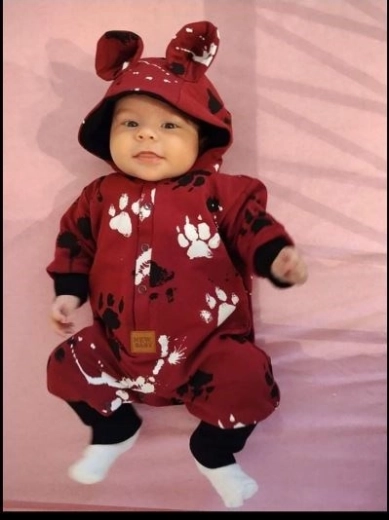 Design adorabile con orecchiette e zampette