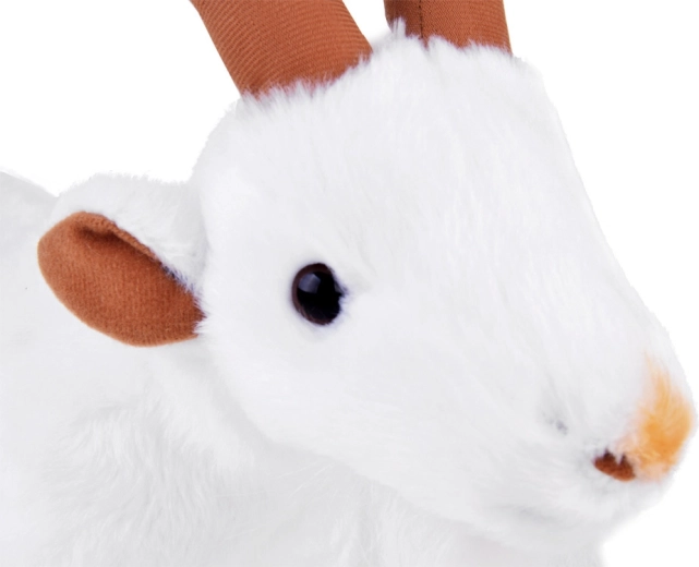 Realistic details that stand out