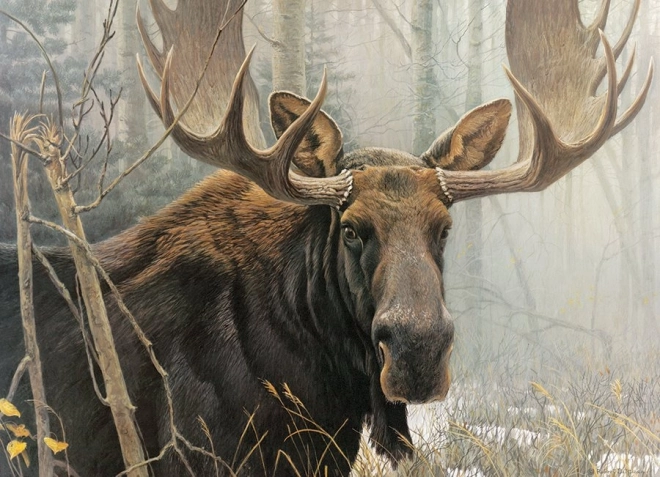 Puzzle COBBLE HILL Moose 500 pieces