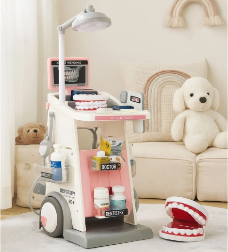 Jaw model and rich accessories