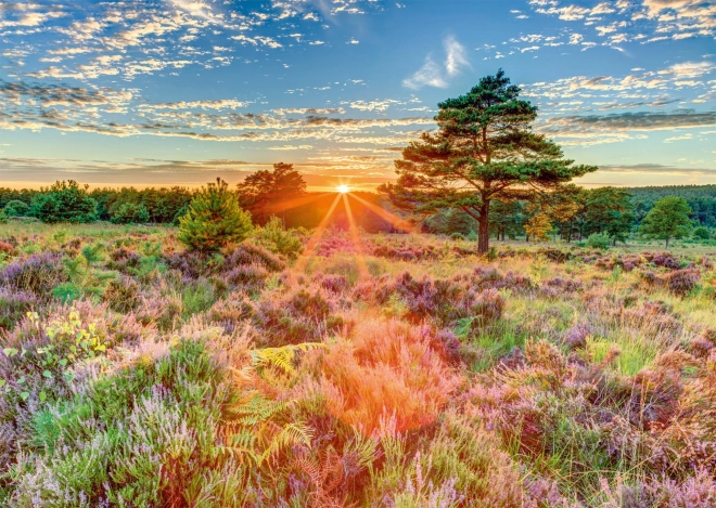 Sunset on the Moorland Puzzle 1000 Pieces
