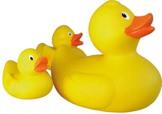 Lena Famille de Canards