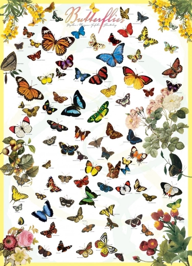 Butterflies Puzzle 1000 Pieces