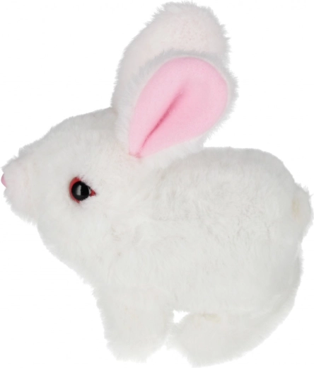 Choice of three colors