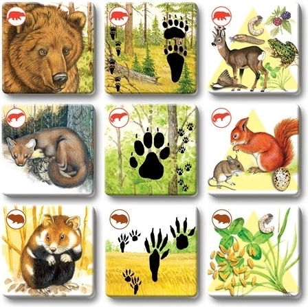 Beautiful illustrations that captivate