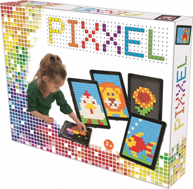 DOHÁNY PIXXEL Mosaic Pictures – Educational Pixel Mosaic