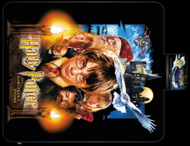 Couverture de pique-nique Harry Potter 20 ans