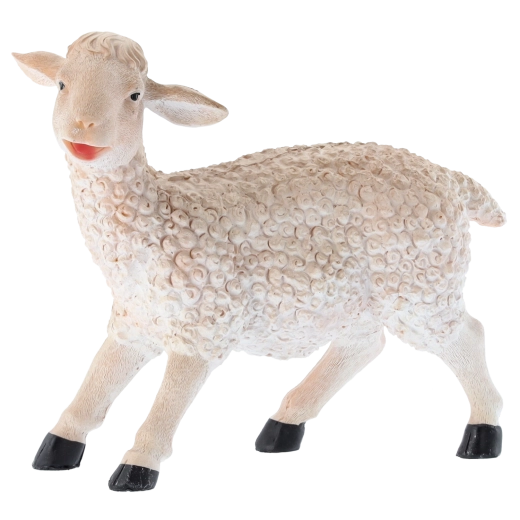 Alsidig anvendelse til dekoration og læring