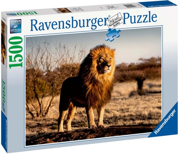 Puzzle 1500 pieces Lion