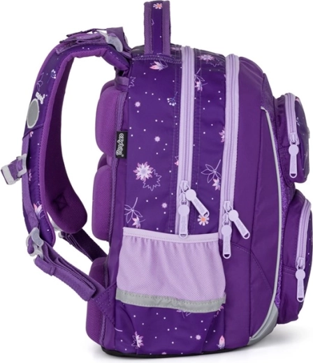 Organisation étudiée et grand volume